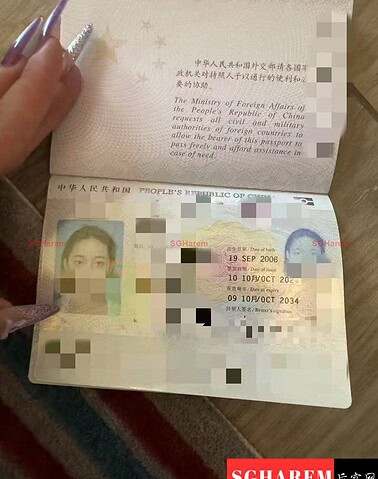 Qiqi-琦琦 【3065】 Singapore (SG) Largest Escort Directory | No.1 SG Escort Service | SG Escort | 新加坡伴游 | 新加坡外围