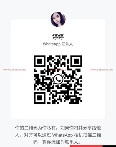 TingTing-婷婷 【3072】 Singapore (SG) Largest Escort Directory | No.1 SG Escort Service | SG Escort | 新加坡伴游 | 新加坡外围