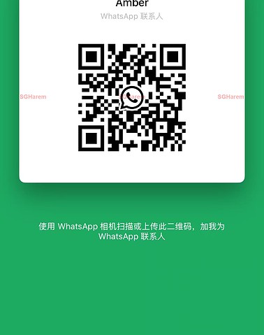 Xiaoya-小雅 【3228】 Singapore (SG) Largest Escort Directory | No.1 SG Escort Service | SG Escort | 新加坡伴游 | 新加坡外围