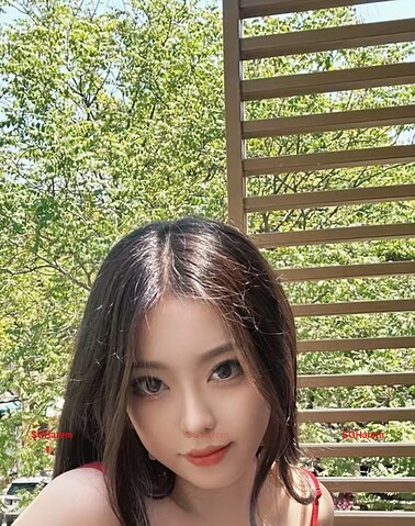 NianNian-念念 【3365】