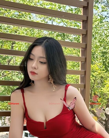 NianNian-念念 【3365】