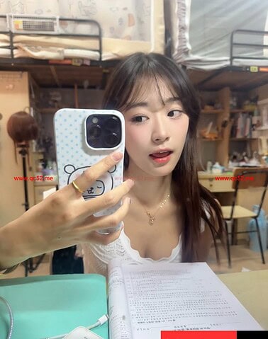 YangYang-洋洋 【3392】