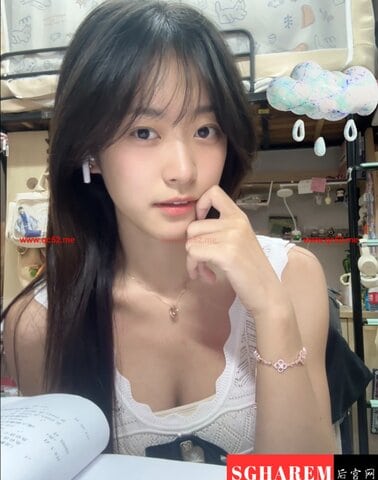 YangYang-洋洋 【3392】