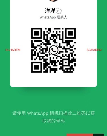 YangYang-洋洋 【3392】