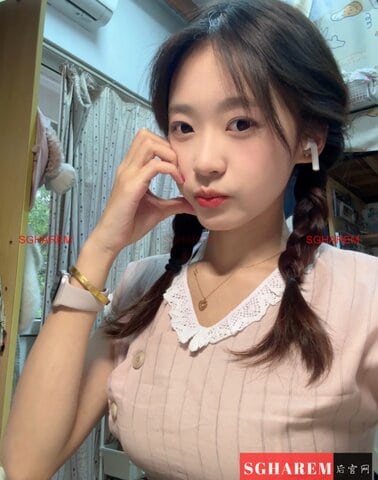 YangYang-洋洋 【3392】