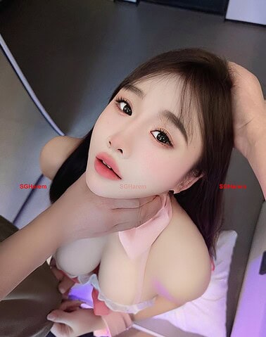 XiaoChun-小纯 【3473】