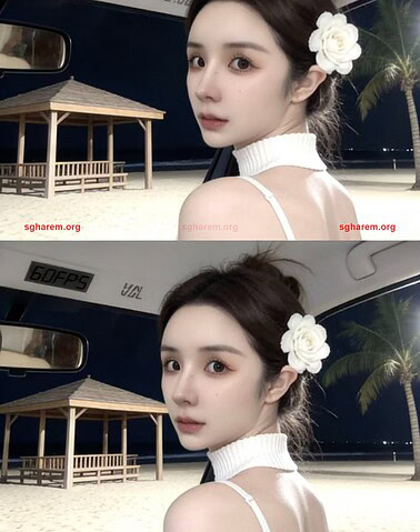 TangTang-棠棠 【3477】