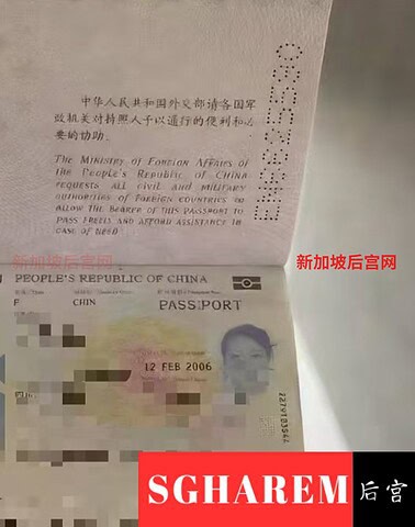 Yueliang-月亮 【3480】