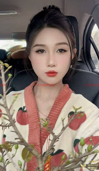 新加坡倾城网 QingChengWang | linda escort thumbnail image