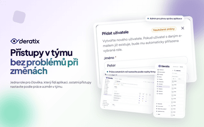 Role a oprávnění podle práce v týmu