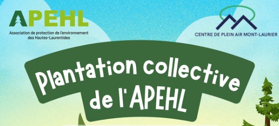 Journée plantation d’arbres avec l’APEHL!