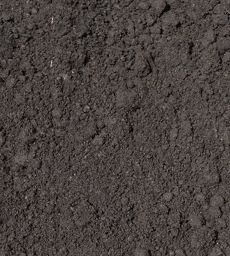 Terre mixte