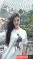 XingYu-星语 【2544】 Profile Thumbnail Image