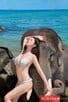 Liz-唯一 【2572】 Profile Thumbnail Image