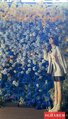 XiaoBei-小贝 【2873】 Profile Thumbnail Image