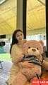 XiaoBei-小贝 【2873】 Profile Thumbnail Image