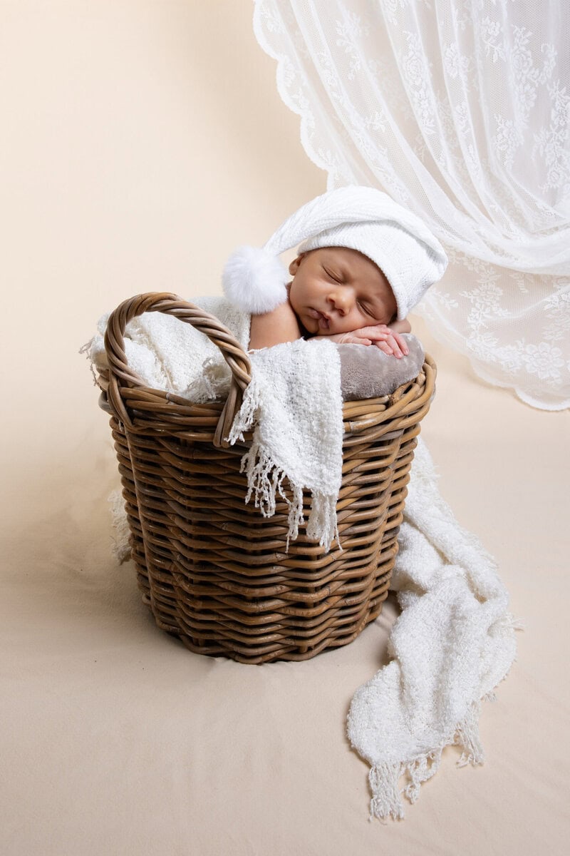 photographe naissance bébé panier Grézieu la varenne