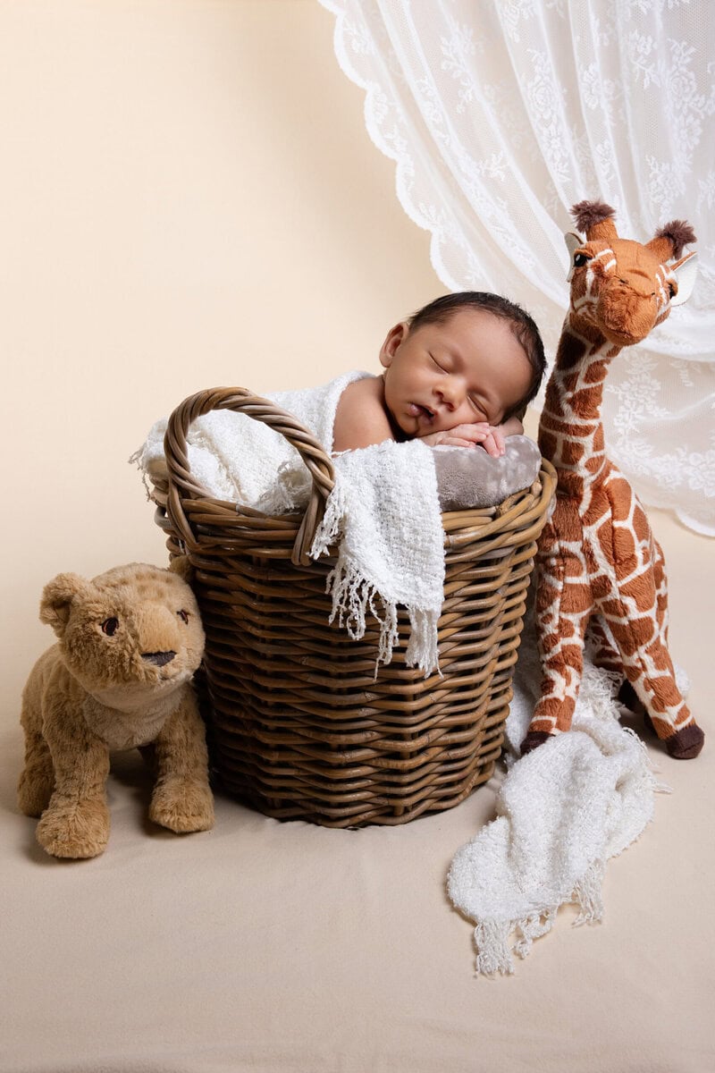 photographe naissance Grézieu la varenne jungle