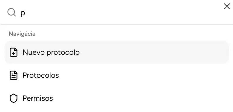 Navegacion rapida a paginas mediante Command Palette - Desktop