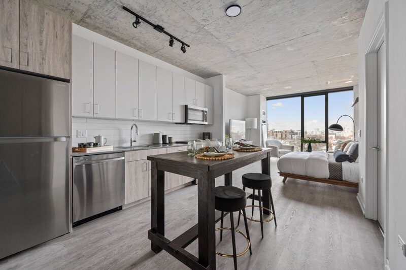 The 808 Cleveland Convertible Apartment w/ In Unit W/D, Pool - Chicago