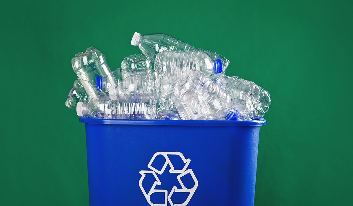 Stuffed Recycling Bin