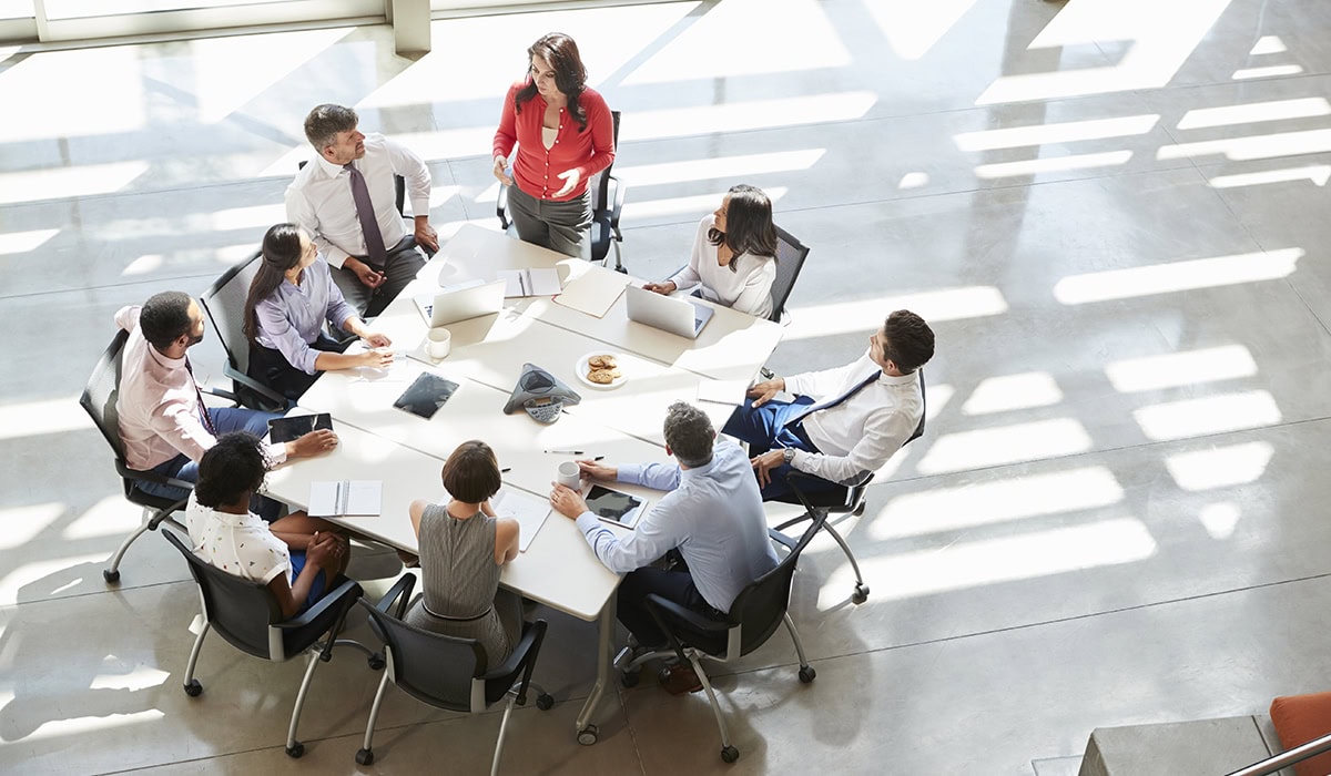 Businesswoman Addressing Team Meeting, Elevated View