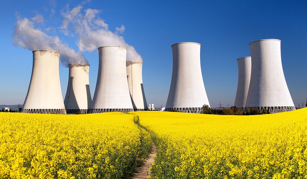 Nuclear Power Plant, Cooling Tower, Field Of Rapeseed