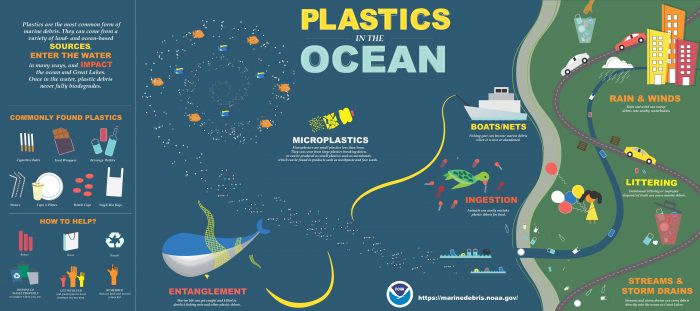 Source: The Ocean Project Natural Society
