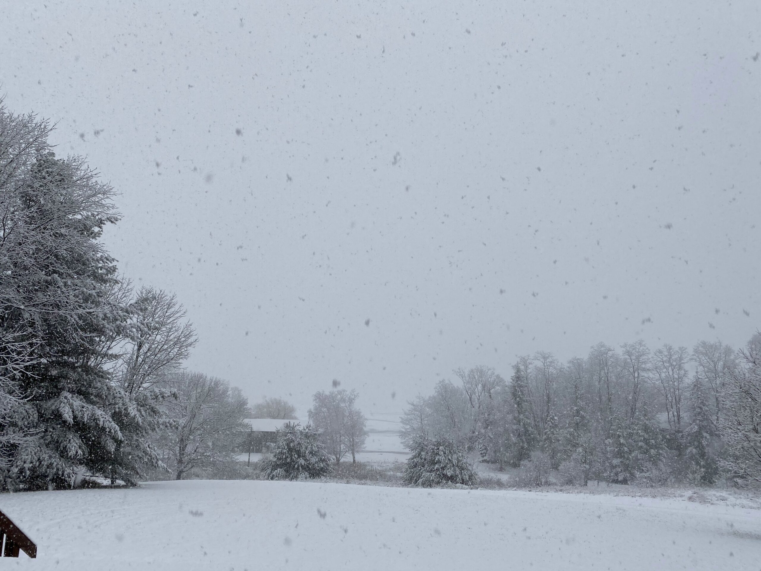 A Snowy Day at Camp Michigania