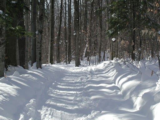 Cross-Country Skiing Trail