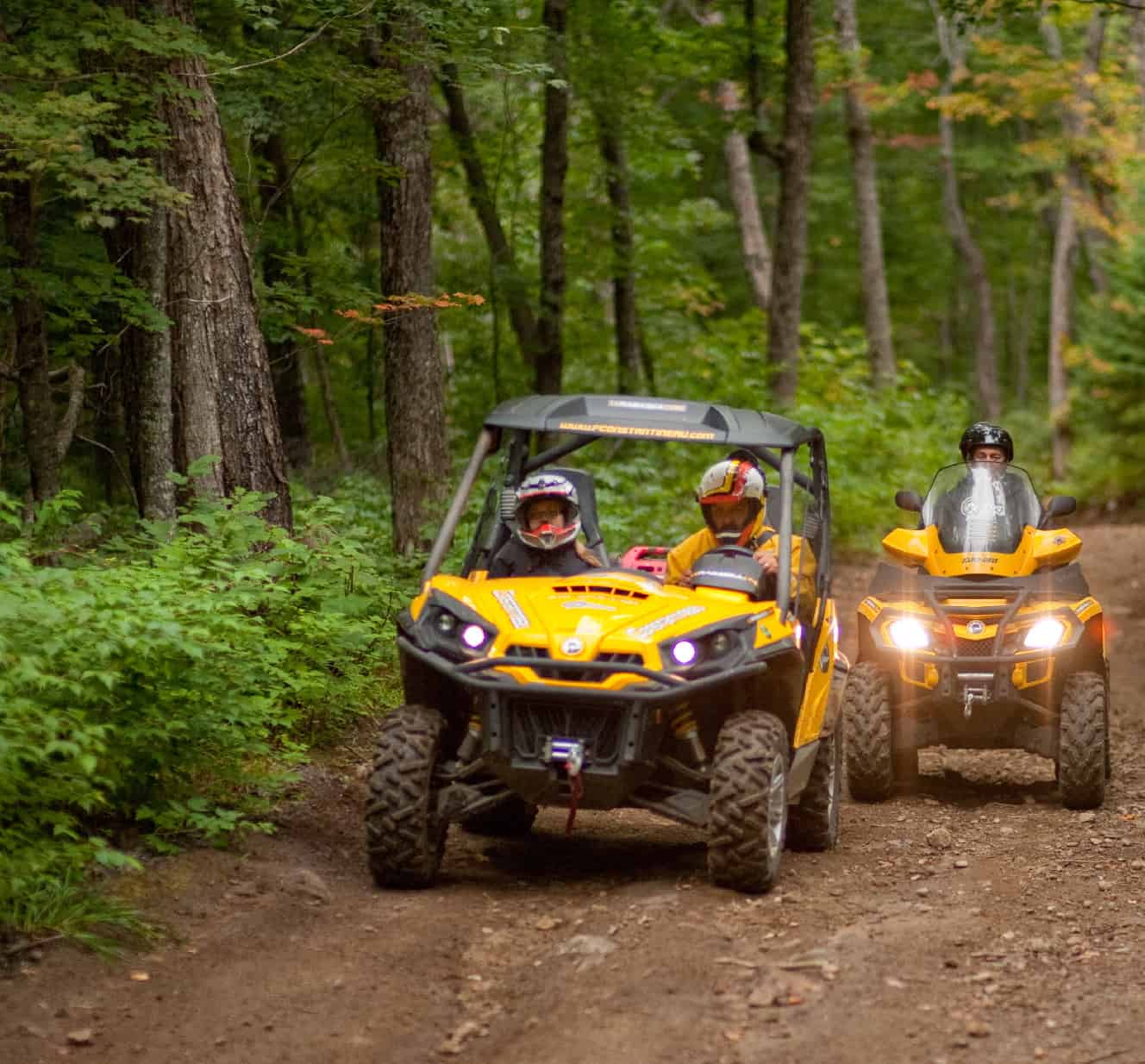 _32D3475-1_55% quad en sentier