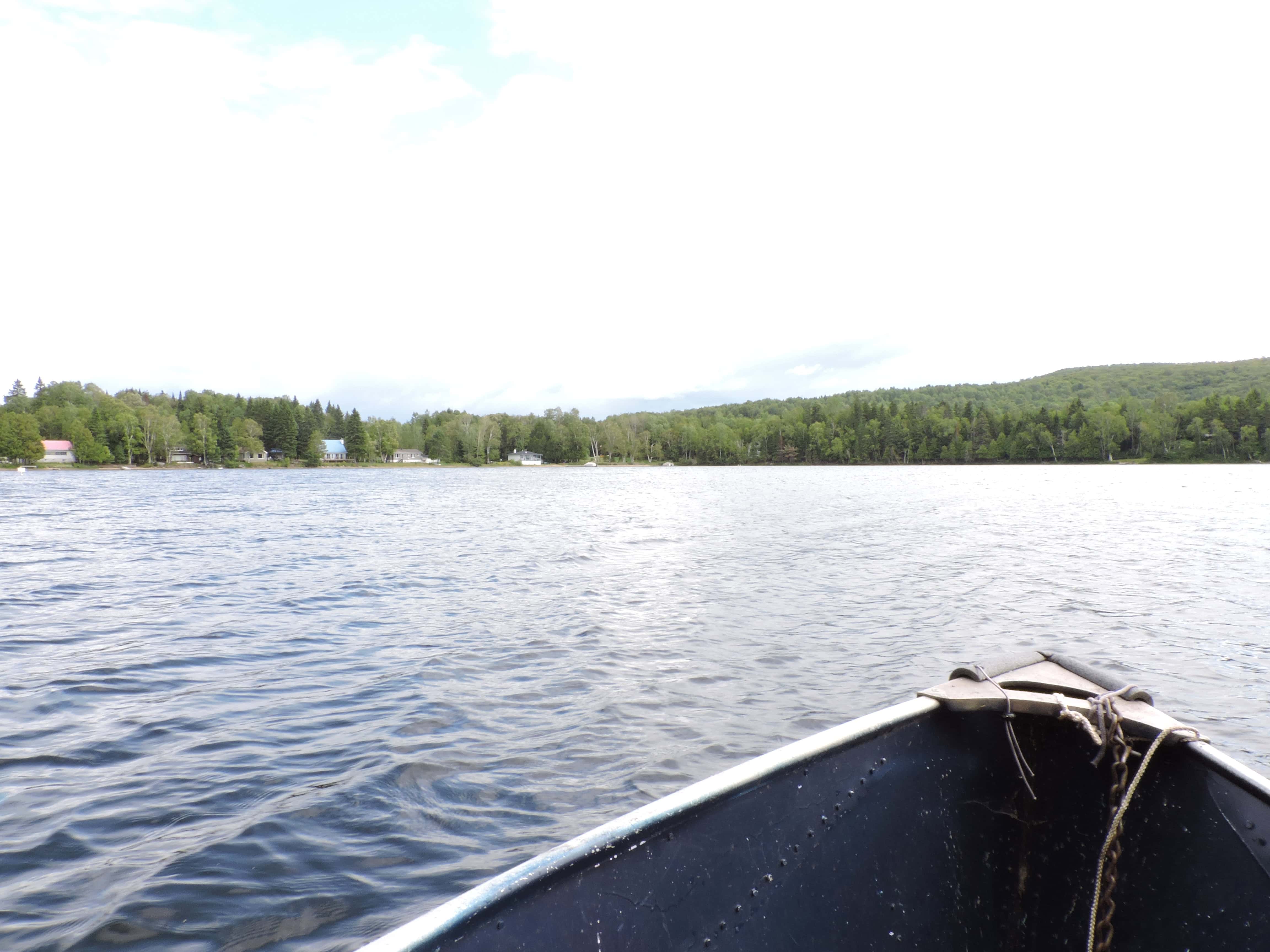 lac-David