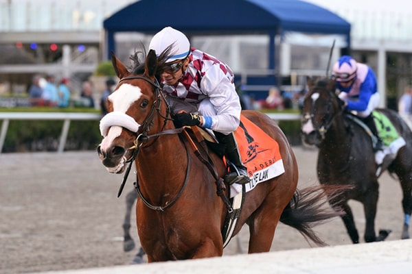 2020 Belmont Stakes - Tiz The Law