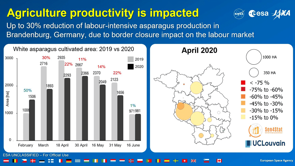 The pandemic related shutdown reduced asparagus production by 20-30% during the months of March and April in 2020.