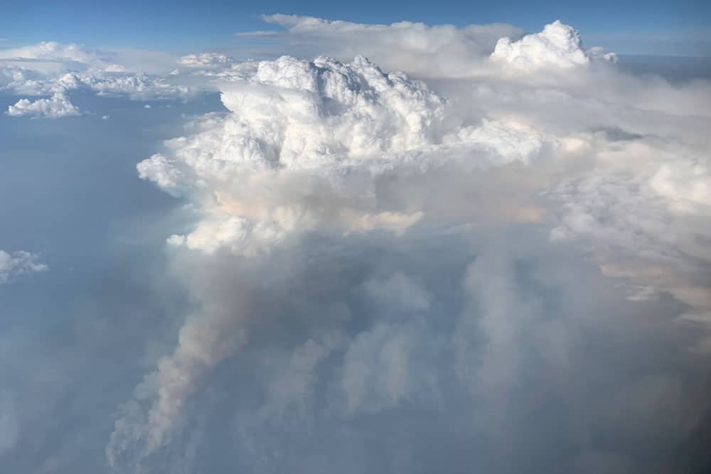 Taken at about 30,000 feet (9 kilometers) over eastern Washington, the smoke plume (gray) feeds the pyrocumulonimbus cloud (white). Photo: David Peterson (U.S. Naval Research Laboratory), public domain, August 8, 2019.