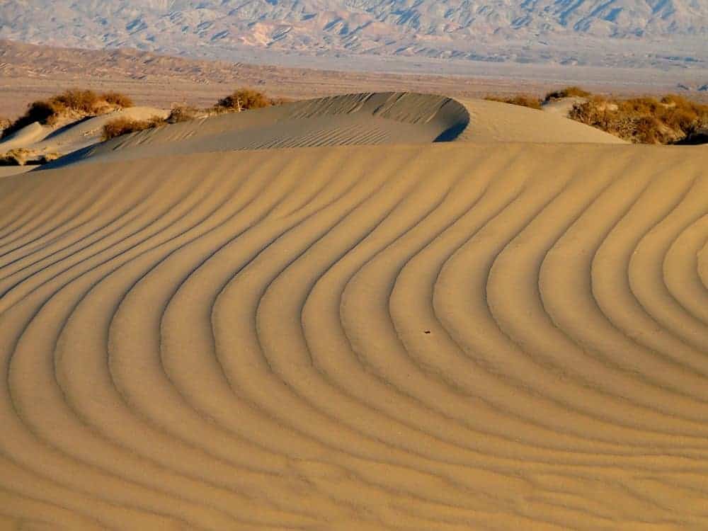 Mesquite Flat Sand Dunes. Photo: Death Valley NPS.