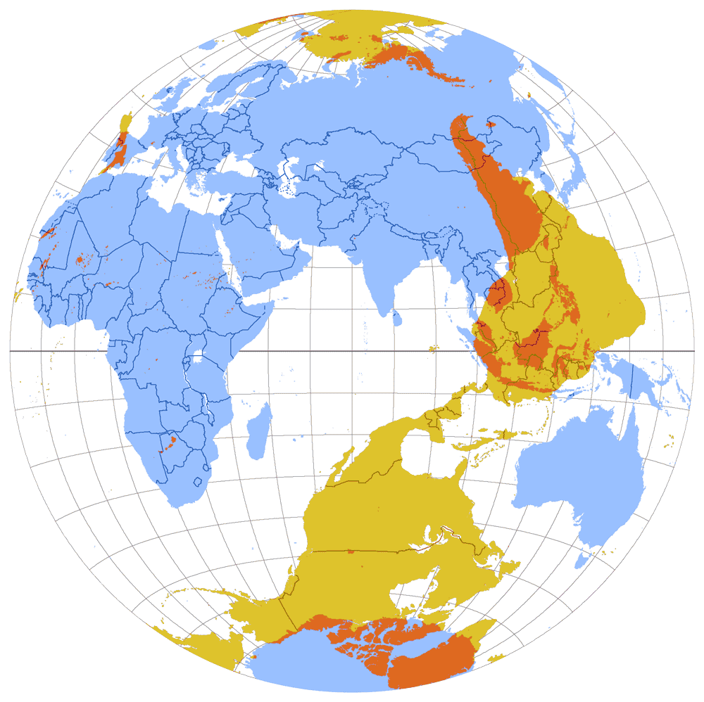 Map of antipodes of the Earth, in Lambert Azimuthal Equal-Area projection. Map: Citynoise, Mediawiki commons, CC BY 2.0