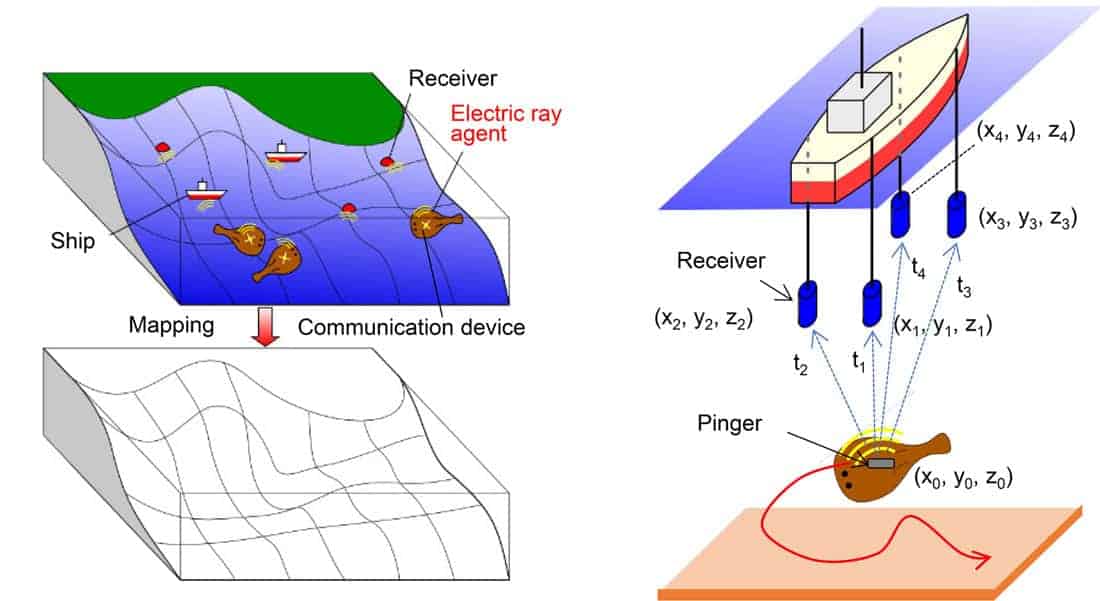 Concept drawings showing how sea rays outfitted with pingers and cameras can help map the ocean floor. Image: Funano et al., 2020, CC BY 4.0