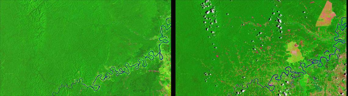 Satellites like those in the Landsat program help to monitor changes affected by the interactions of humans on Earth. Imagery captured by Landsat 5 and Landsat 8 captured changes in the Peruvian Amazon forest over time due to small-scale agriculture. Image: USGS, public domain.