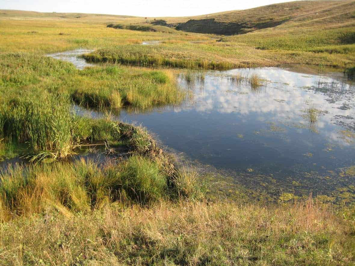 A meandering stream in North Dakota. Photo: Kathleen Macek-Rowland, USGS. Public domain.