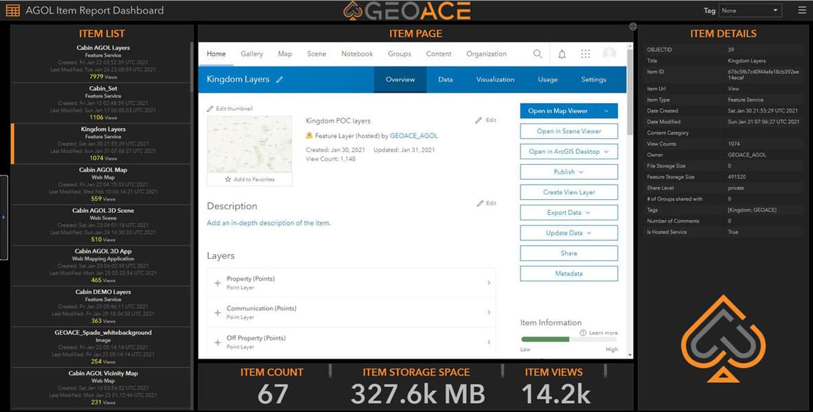 Screenshot from the GEOACE Item Report Dashboard.