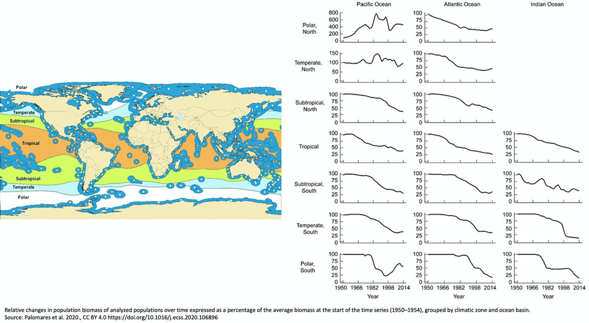 Map: The global system of Marine Ecoregions (ME in dark blue, Spalding et al., 2007) overlaid over climatic zones of the world (Anonymous, 1991). Graphs: Relative changes in population biomass of analyzed populations over time expressed as a percentage of the average biomass at the start of the time series (1950–1954), grouped by climatic zone and ocean basin. Figure: Palomares et al., 2020, CC BY 4.0