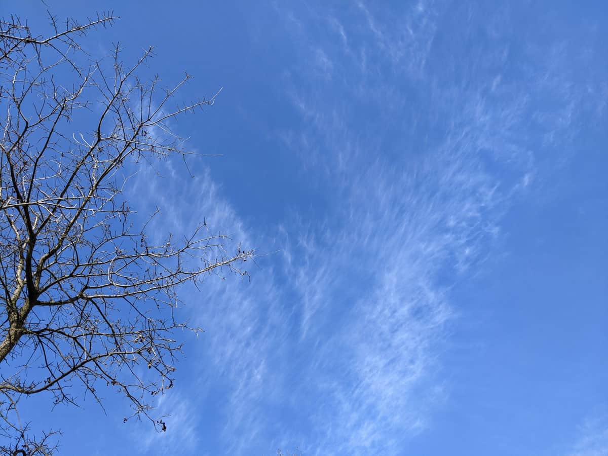 Cirrus clouds. Photo: Caitlin Dempsey.
