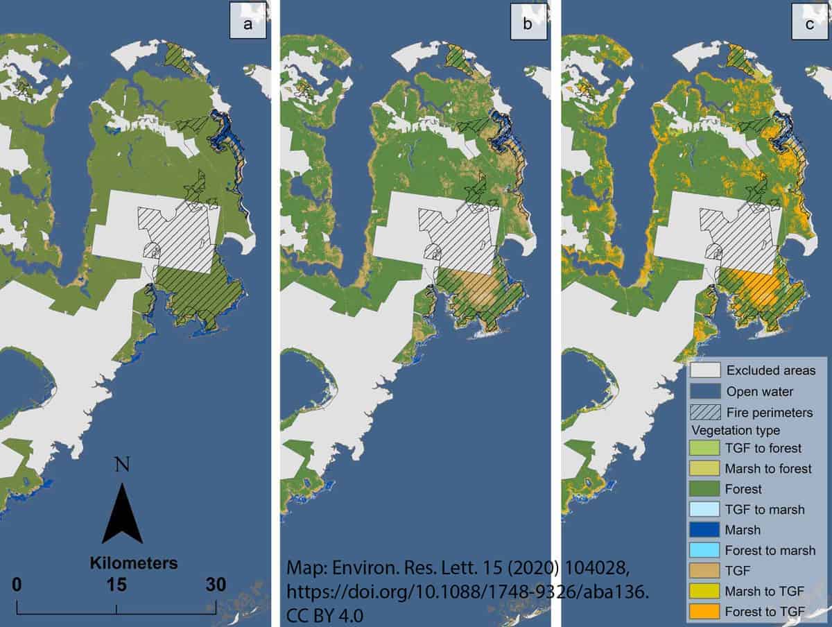 Map showing the expansion of ghost forests in South Carolina.