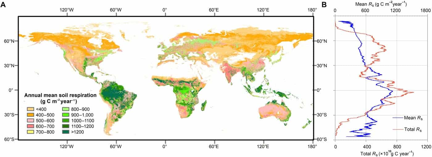 Map of the global distribution of mean annual soil respiration (Rs) between 2000 and 2014. Figure: Huang et al., 2020 under license CC BY 4.0