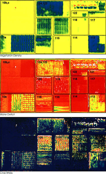 The images above were acquired by the Daedalus sensor aboard a NASA aircraft flying over the Maricopa Agricultural Center in Arizona on January 30, 2001.