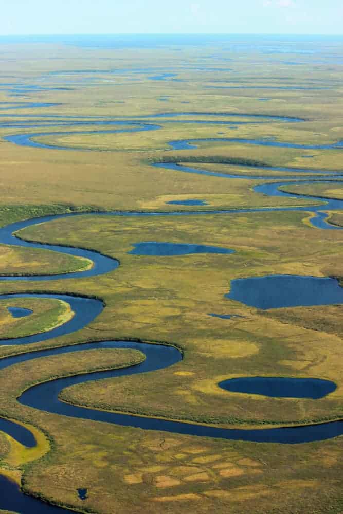 Streams meander on the flat landscape, Bering Land Bridge National Preserve, 2014.