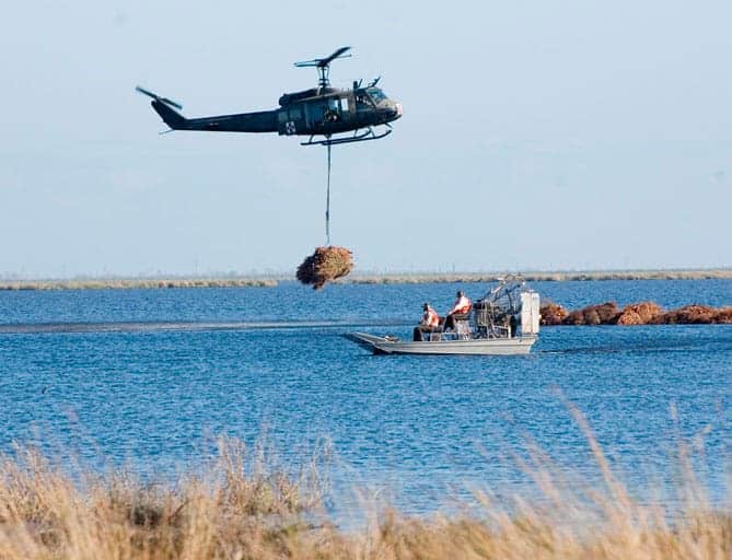 The Louisiana Army National Guard places Christmas trees in strategic locations to help restore marshland in Bayou Sauvage. Photo: USFWS