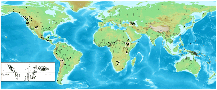 Dark circles represent languages with ejectives, clear circles represent those without ejectives. Clusters of languages with ejectives are highlighted with white rectangles. For illustrative purposes only. Inset: Lat-long plot of polygons exceeding 1500 m in elevation. The six major inhabitable areas of high elevation are highlighted via ellipses: (1) North American cordillera (2) Andes (3) Southern African plateau (4) East African rift (5) Caucasus and Javakheti plateau (6) Tibetan plateau and adjacent regions. Map from: Evidence for Direct Geographic Influences on Linguistic Sounds: The Case of Ejectives by Caleb Everett.