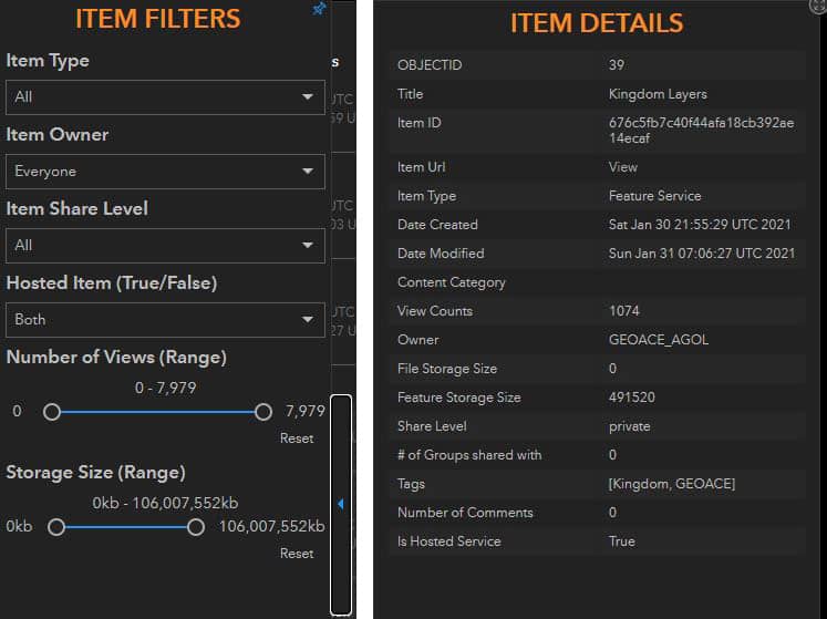 Screenshot showing item filtering with the Item Report Dashboard from GEOACE.
